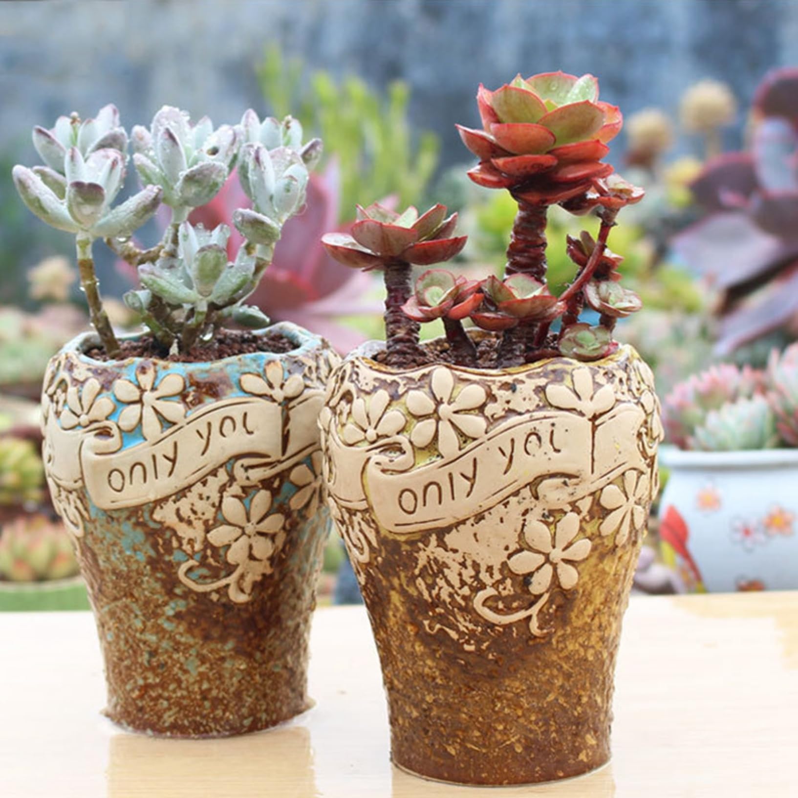 Amazon.co.jp: 可愛い ミニ 植木鉢 陶器鉢 プランター 底穴付き 鉢